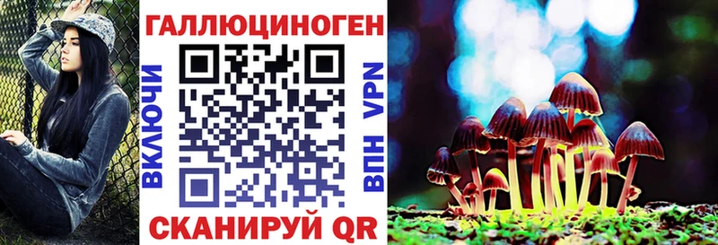 цена   Берёзовский  Псилоцибиновые грибы MAGIC MUSHROOMS 